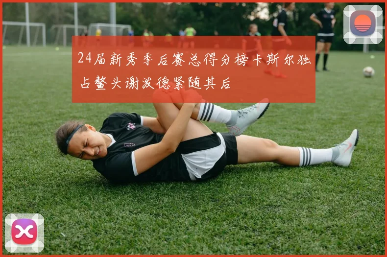 24届新秀季后赛总得分榜卡斯尔独占鳌头谢泼德紧随其后