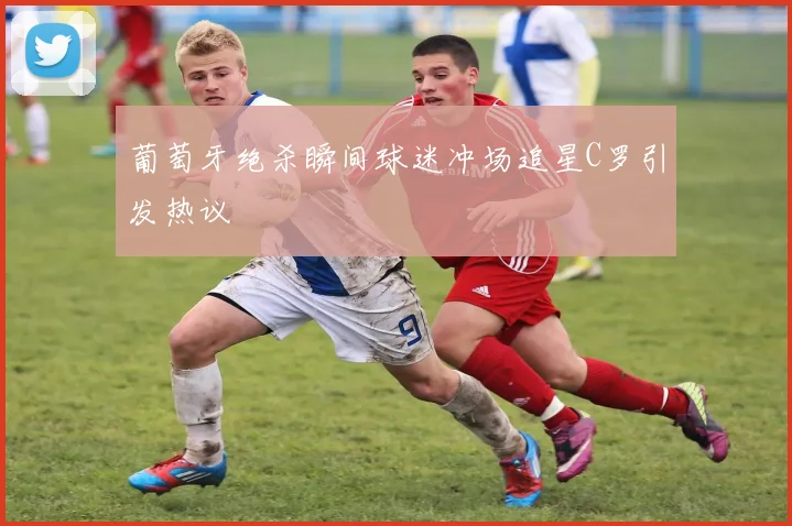 葡萄牙绝杀瞬间球迷冲场追星C罗引发热议
